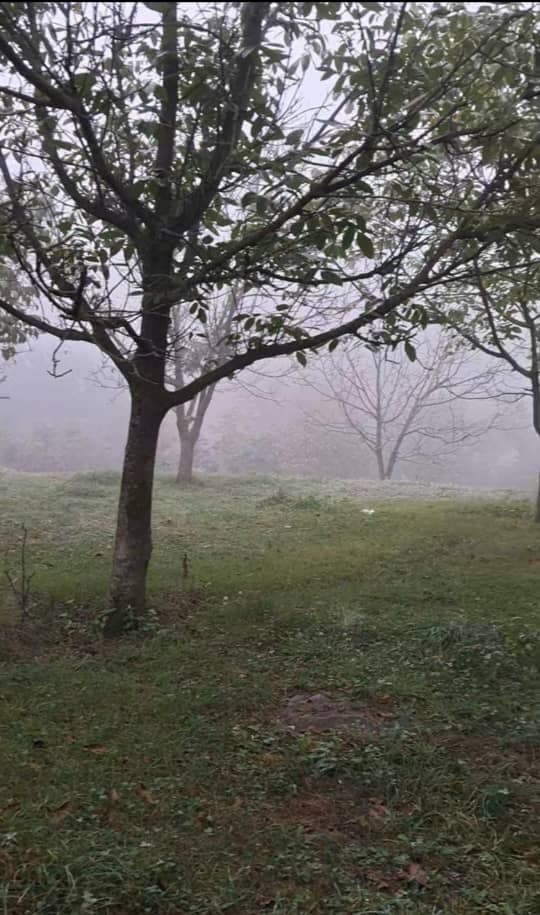 اجاره کلبه سوئیسی دهکده زانوس در کجور نوشهر