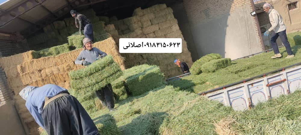 پخش و فروش یونجه و کاه انباری درجه یک اصلانی در همدان
