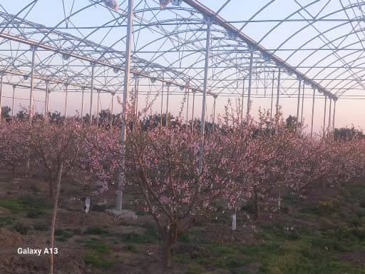 نصب و فروش سازه گلخانه رسولی در تبریز