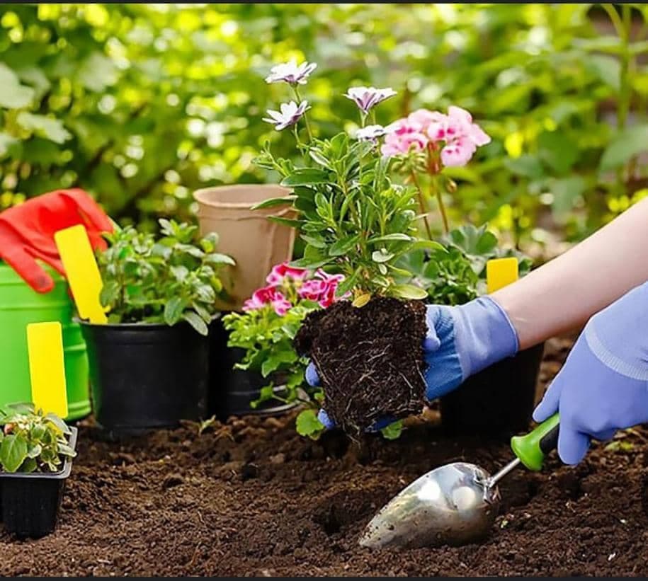 شرکت خدماتی و پرستاری آراد در مرکز اصفهان