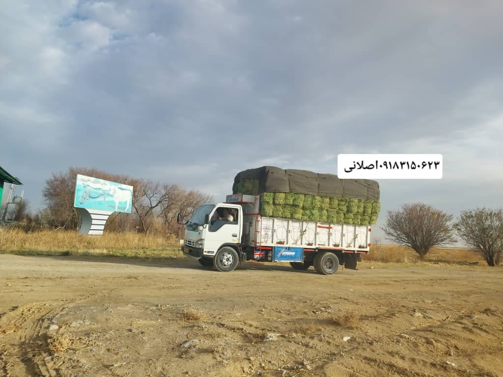 پخش و فروش یونجه و کاه انباری درجه یک اصلانی در همدان