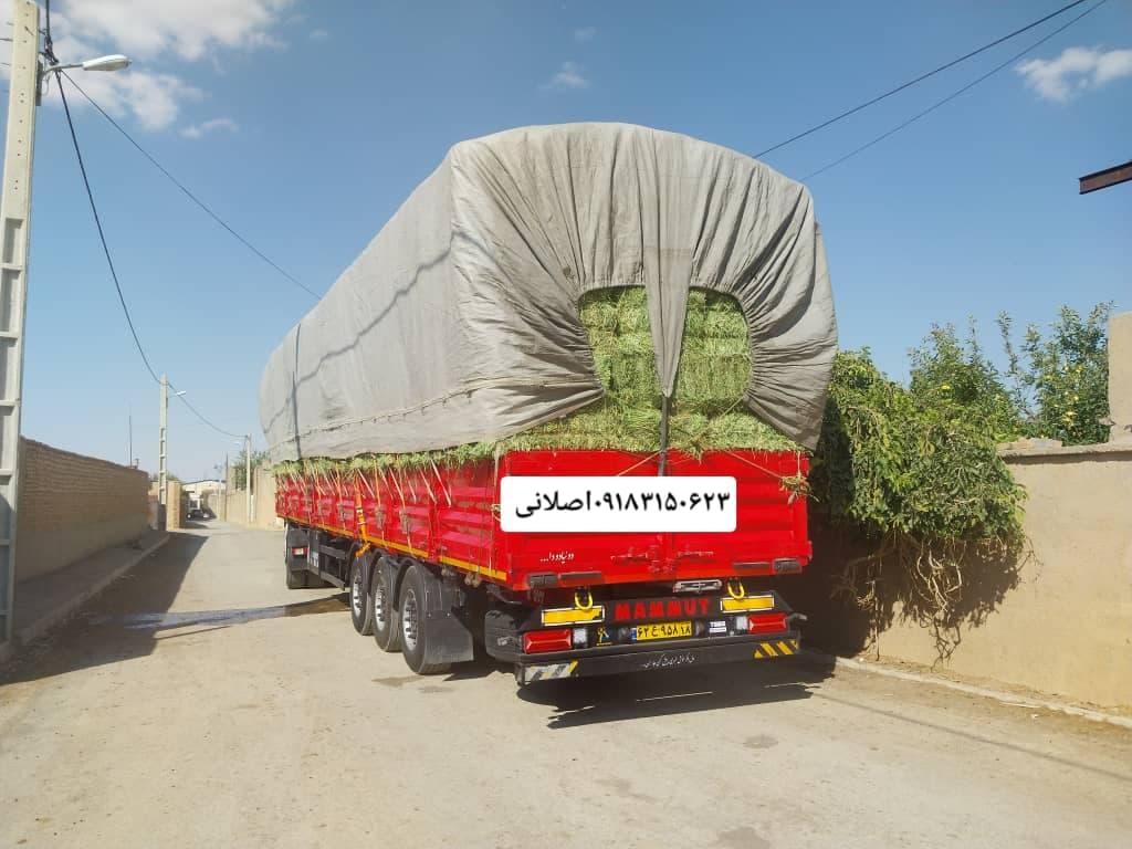 پخش و فروش یونجه و کاه انباری درجه یک اصلانی در همدان