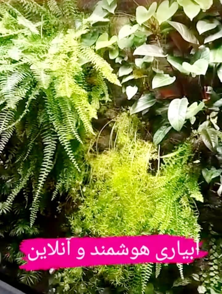 آموزش و کارشناسی فنی کاشت هیدروپونیک اگرومدرن در تهران