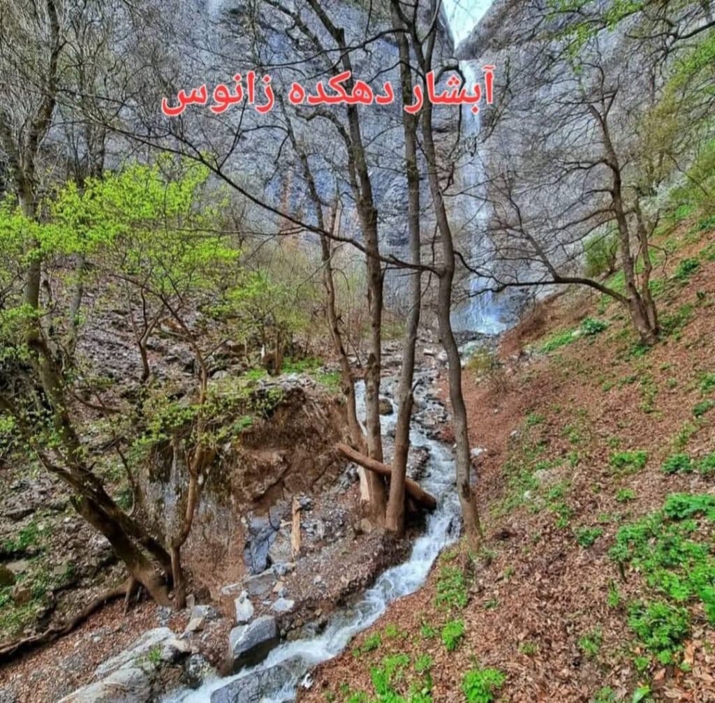 اجاره کلبه سوئیسی باران در کجور نوشهر
