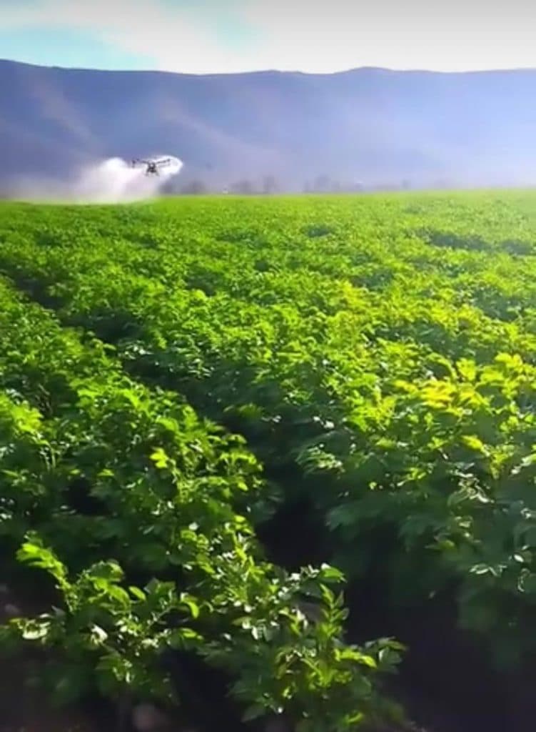 خدمات سم پاشی و محلول پاشی هوایی جنوب شرق در جنوب کرمان
