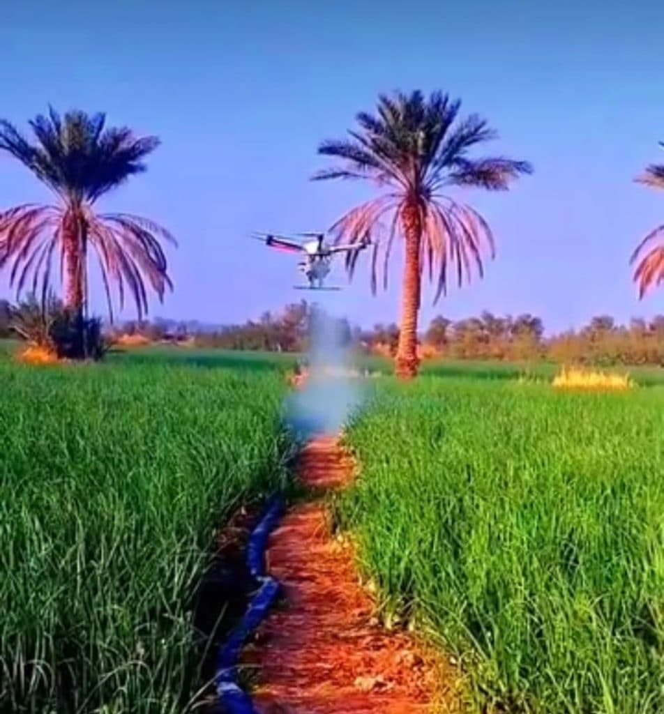 خدمات سم پاشی و محلول پاشی هوایی جنوب شرق در جنوب کرمان