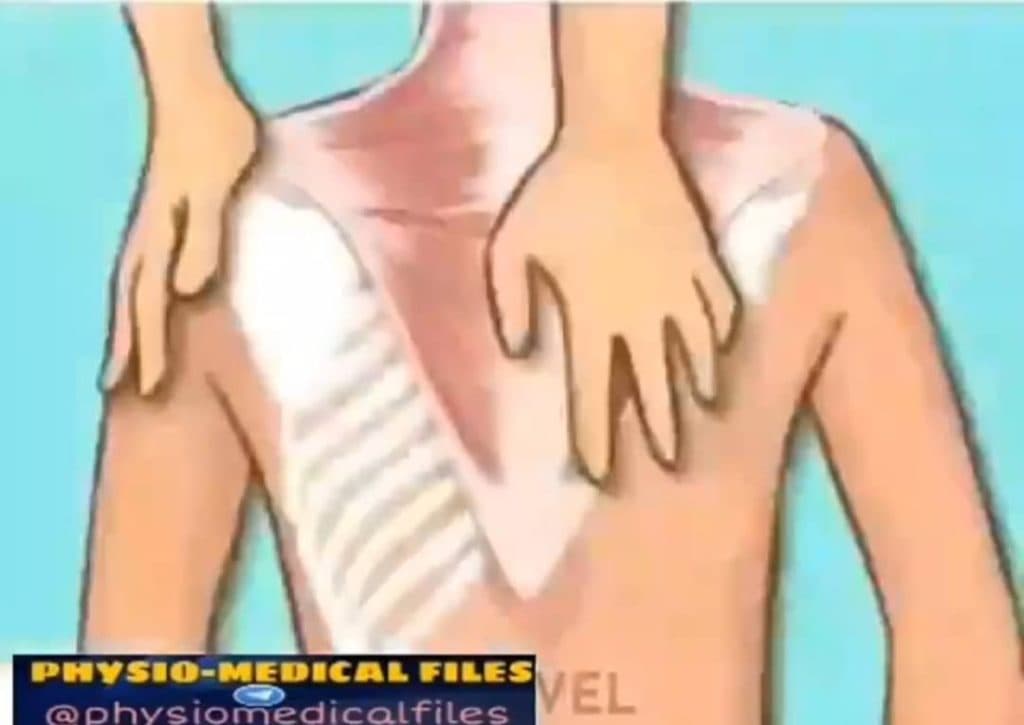 مرکز حرکات اصلاحی نویان در کرمانشاه