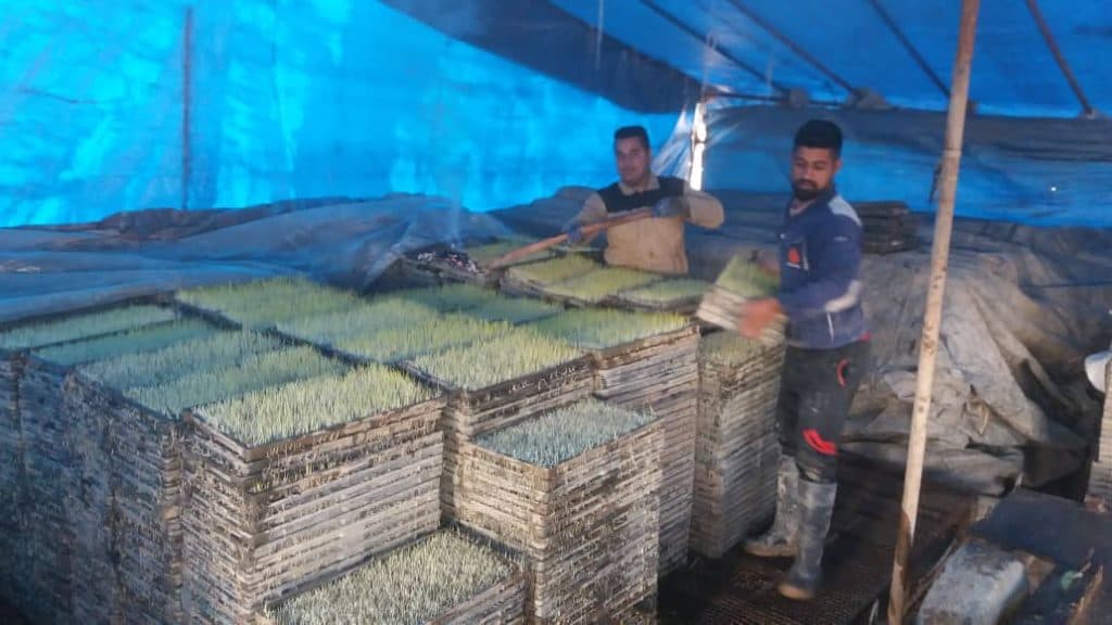 بانک نشا تیمجار در گرگان