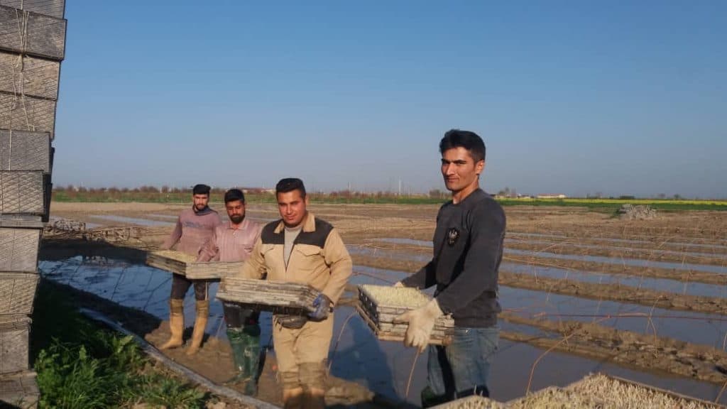 بانک نشا تیمجار در گرگان