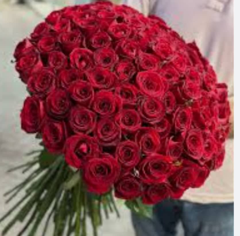 پرورش و فروش گل رز هلندی حسین زاده در تبریز