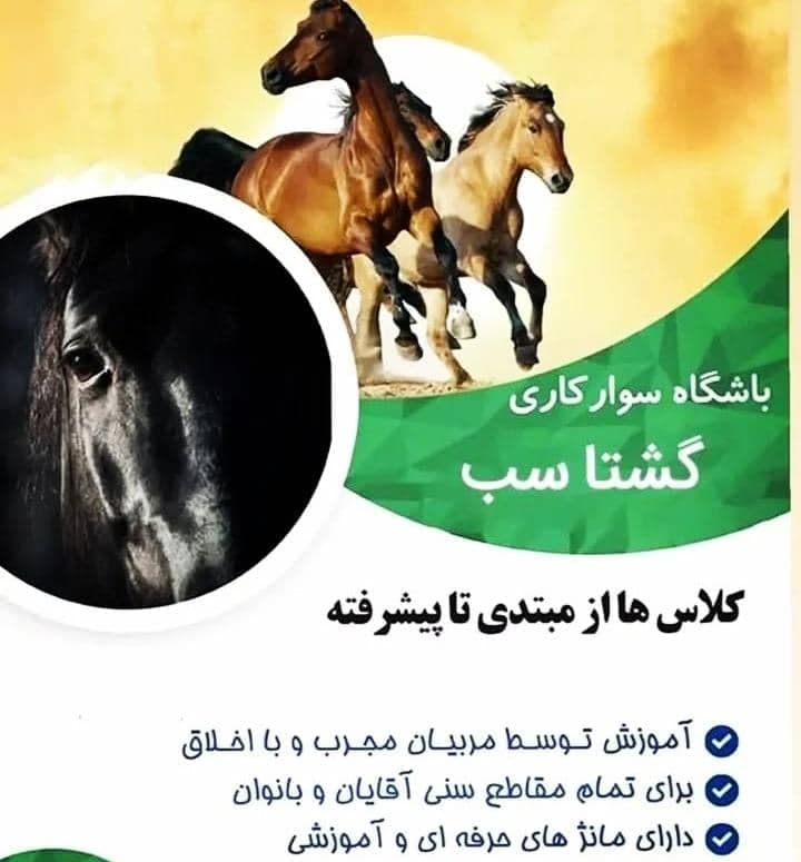 باشگاه سوارکاری گشتاسب در همدان