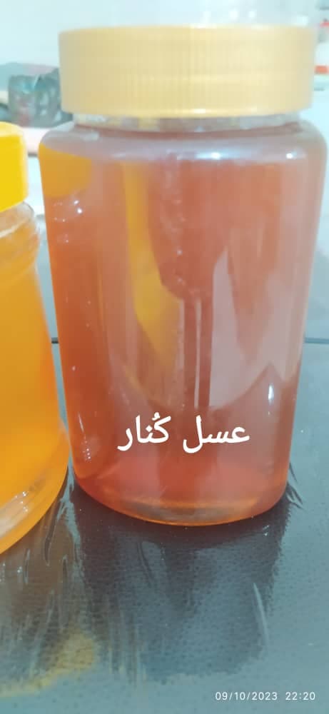 کلینیک طب سنتی و زالو درمانی سیب ملک پور در بندر امام خمینی