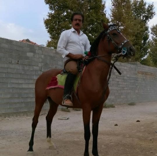 باشگاه پرورش اسب اهورا در مرودشت