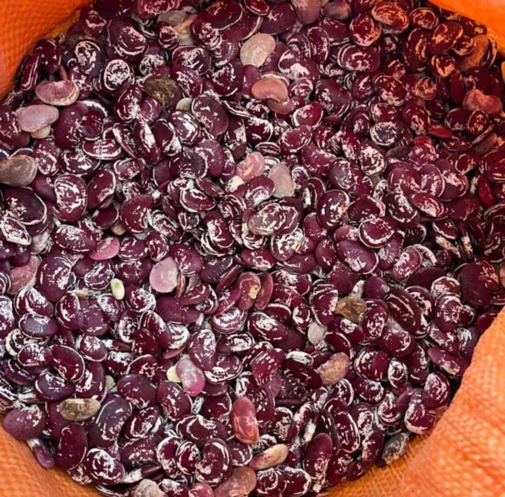 عطاری کوه سیمی در هشت بندی
