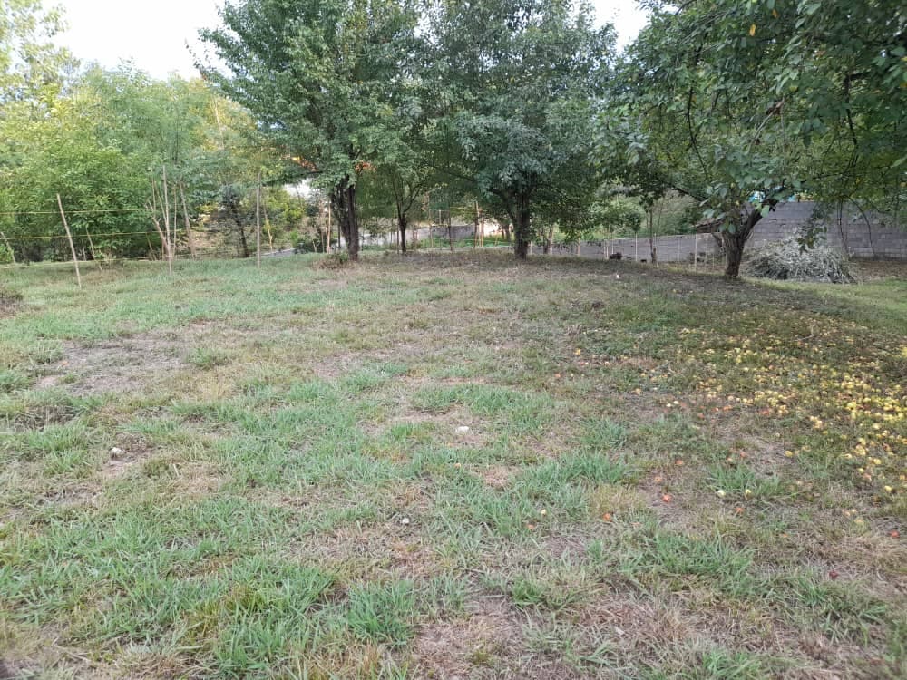 اجاره ویلای امیدی در سد سنگر سیاهکل
