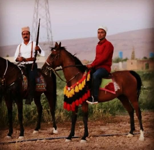 باشگاه پرورش اسب اهورا در مرودشت