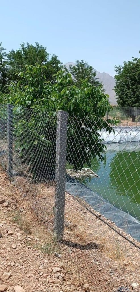 فنس کشی مرادی در زنجان