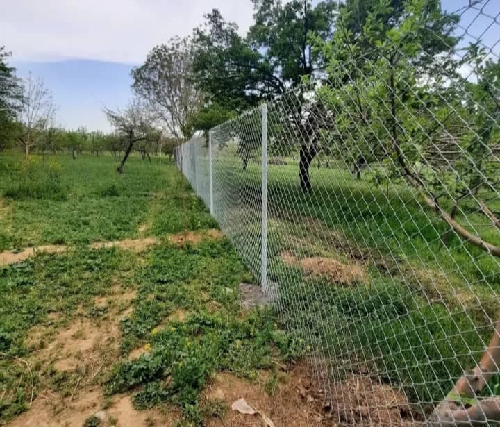 فنس کشی مرادی در زنجان