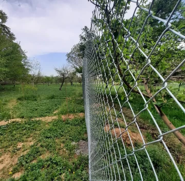 فنس کشی مرادی در زنجان