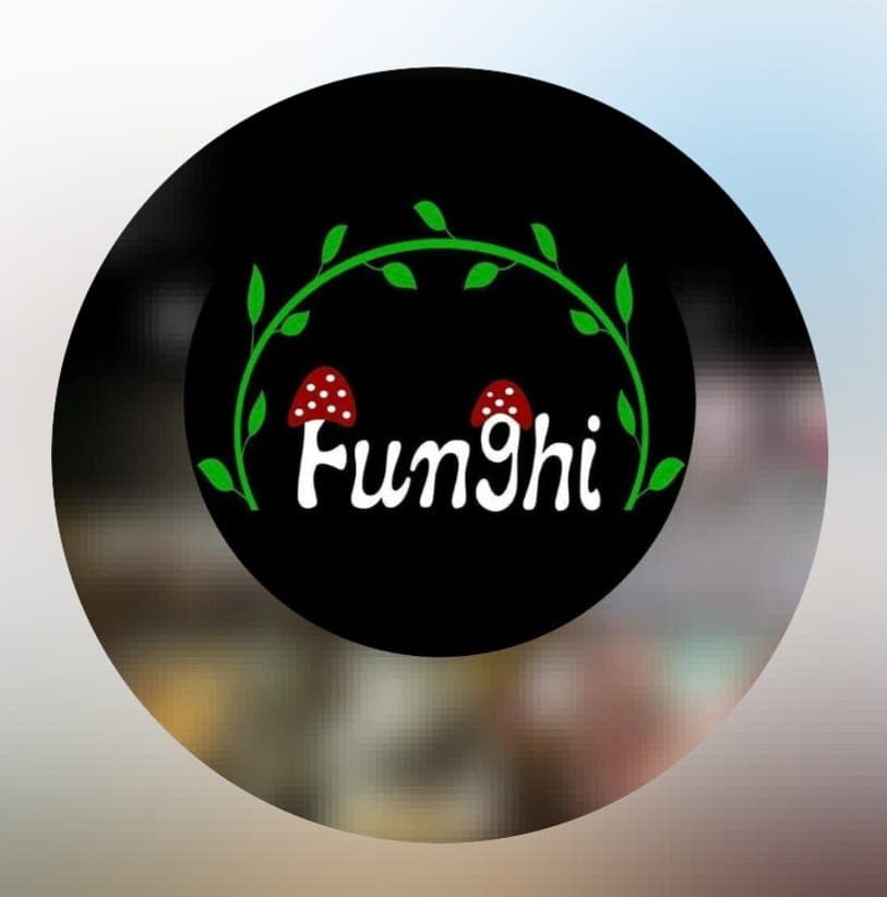 فست فود فونگی در قم
