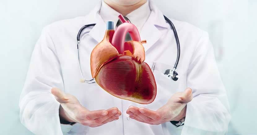 مجموعه طب سنتی حکیم آرکاد در بندر کنگان