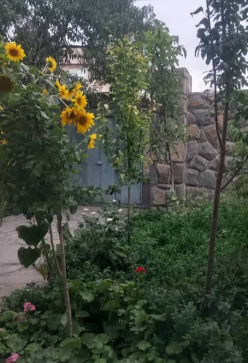 اجاره ویلا باغ اکبریان در قم