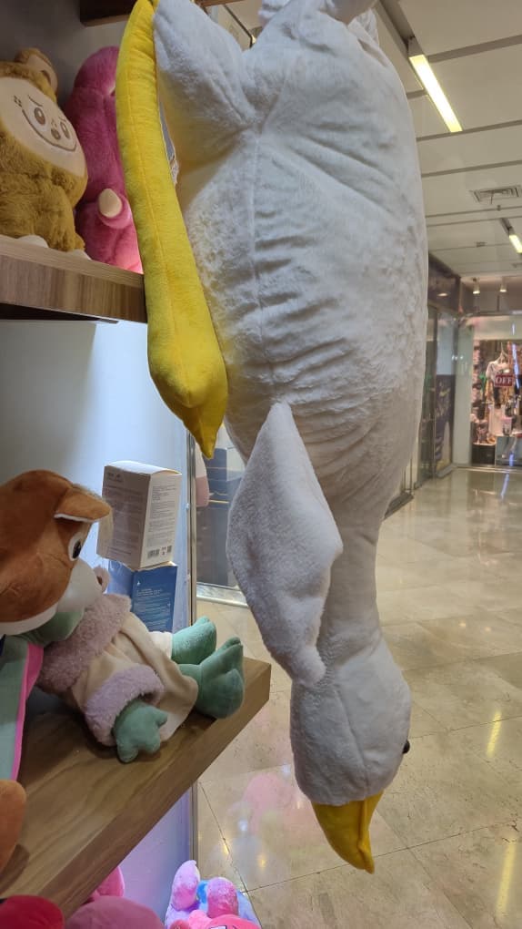 فروشگاه عروسک و ماکت کیارش تویز در منطقه ۸ تهران