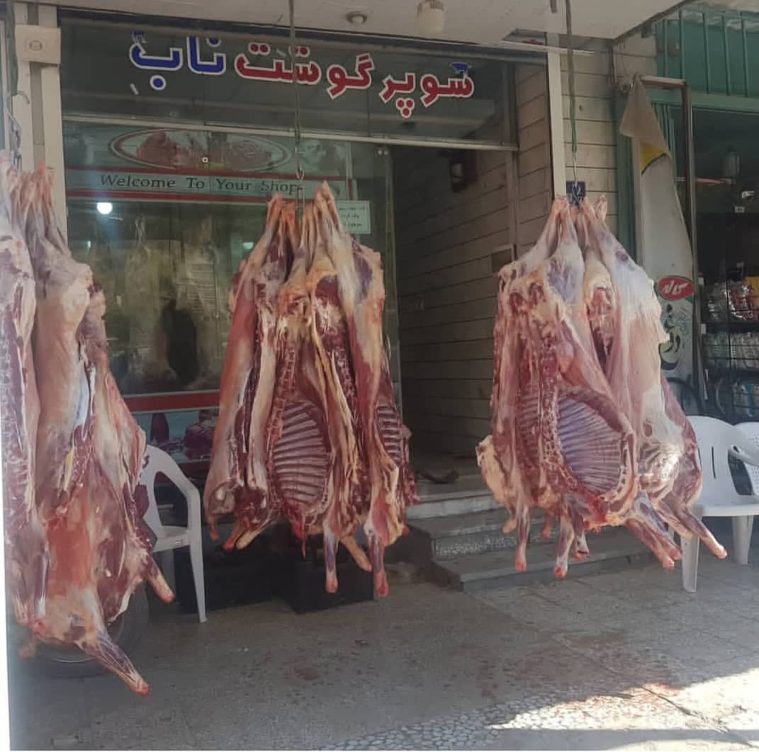 قصابی ناب پلور در جاده هراز