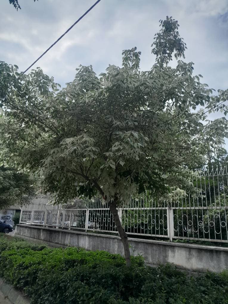 تولید فروش فنس و سیم خاردار صادقی در گرگان