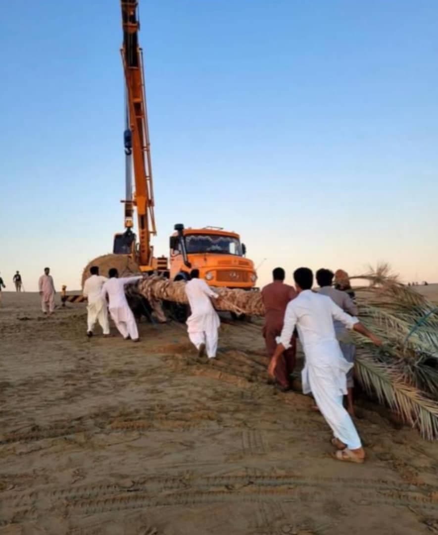 اجاره جرثقیل دوستخواه در چابهار
