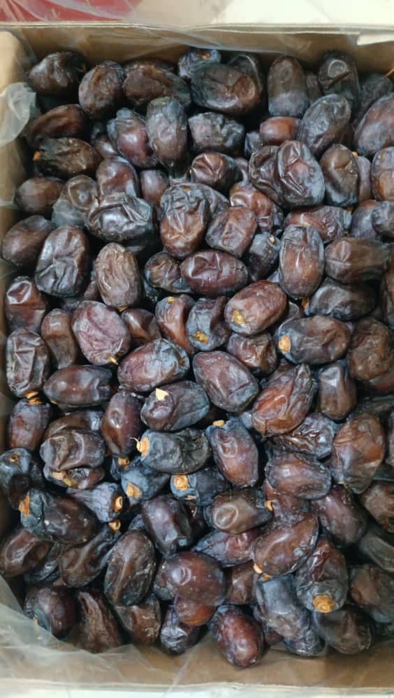 پخش و فروش عمده خرما مضافتی و کلوته جهانگیری در کرمان
