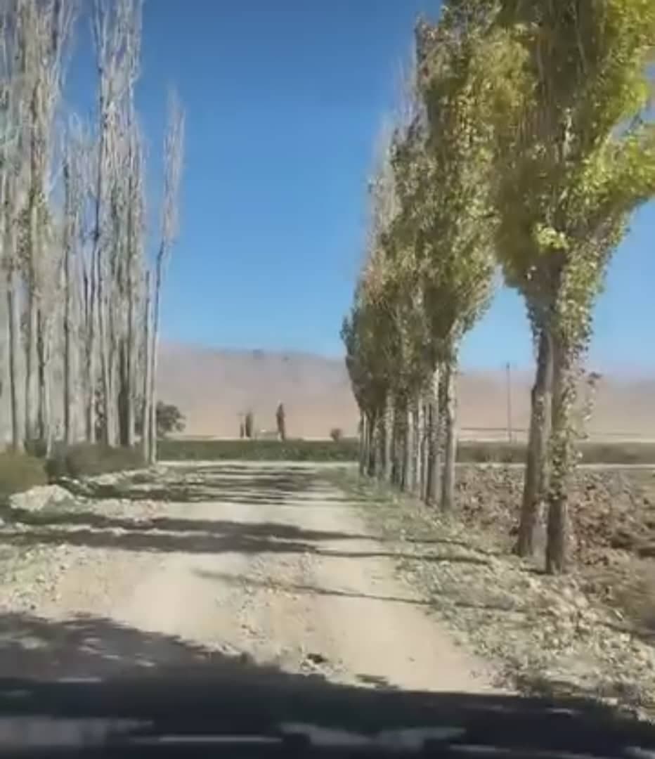ساخت و فروش آلاچیق سنتی حسین در منوجان