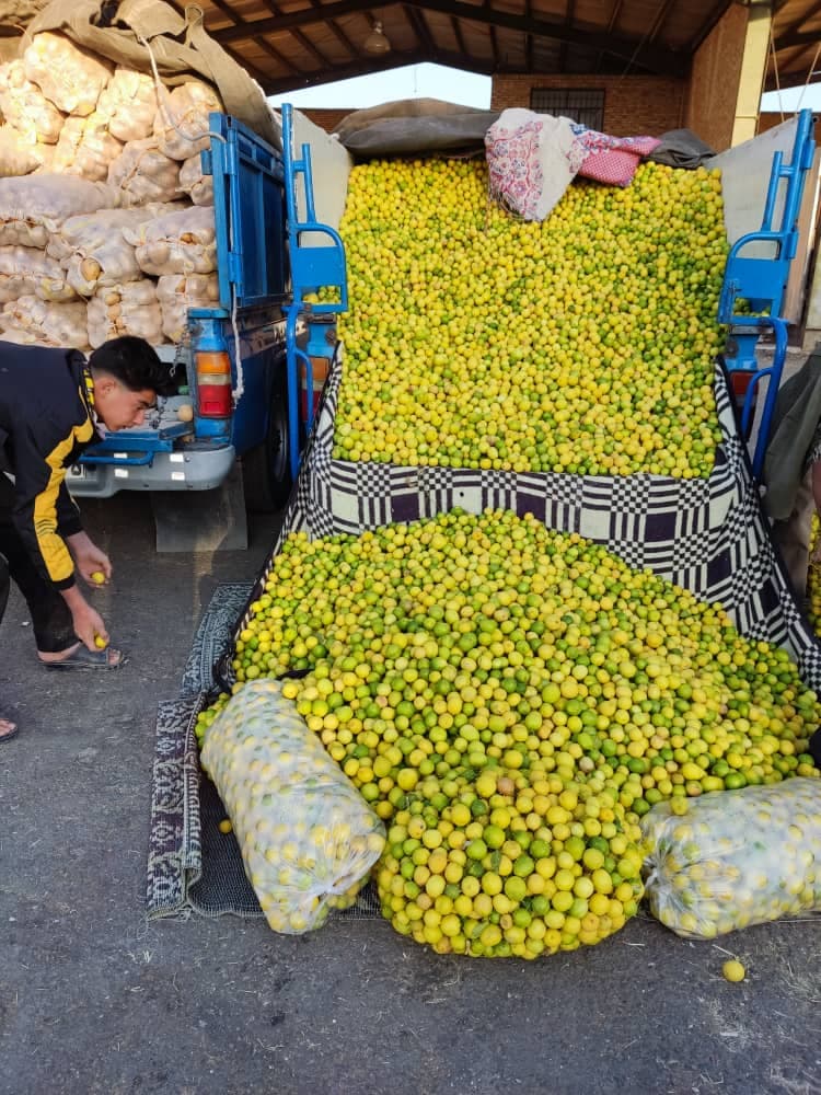 میدان بارفروشی و حق العمل کاری فصل حسین باب بیدی در کرمان