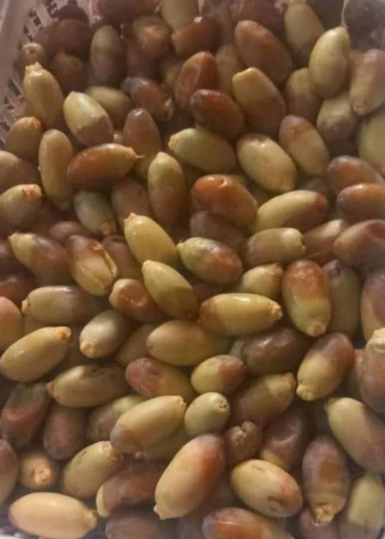 پخش و فروش عمده رطب و خارک برحی و سعمران بغلانی در اصفهان