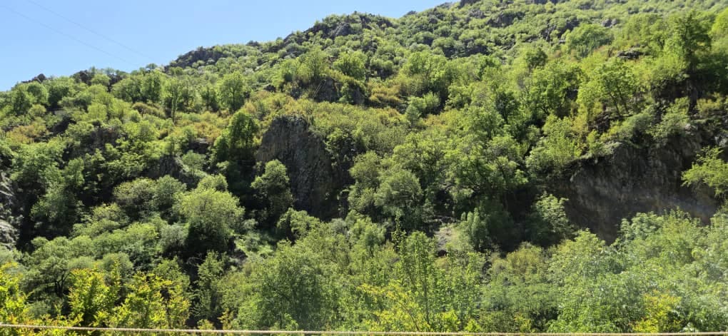 خانه باغ اجاره ای صوفی در پاوه
