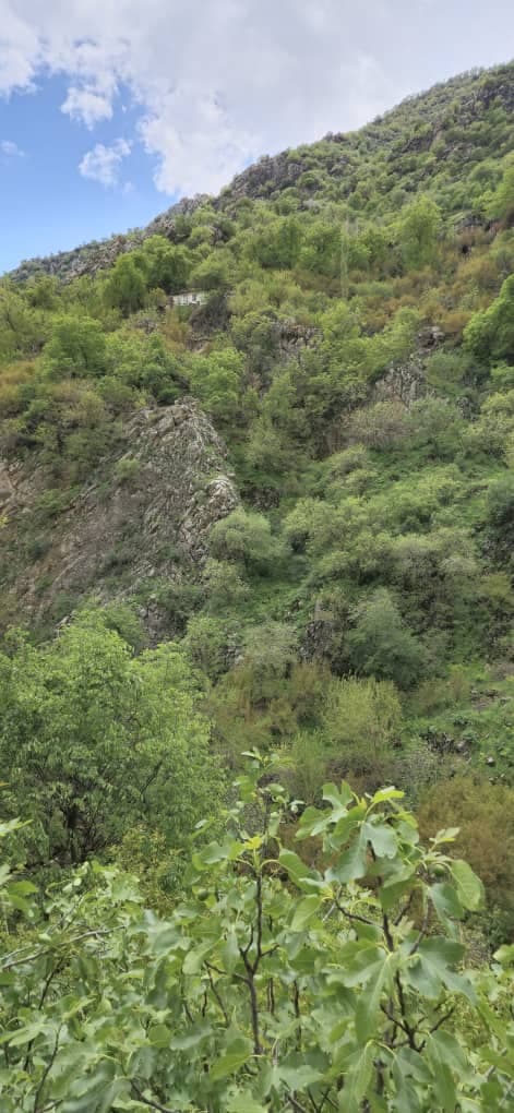 خانه باغ اجاره ای صوفی در پاوه