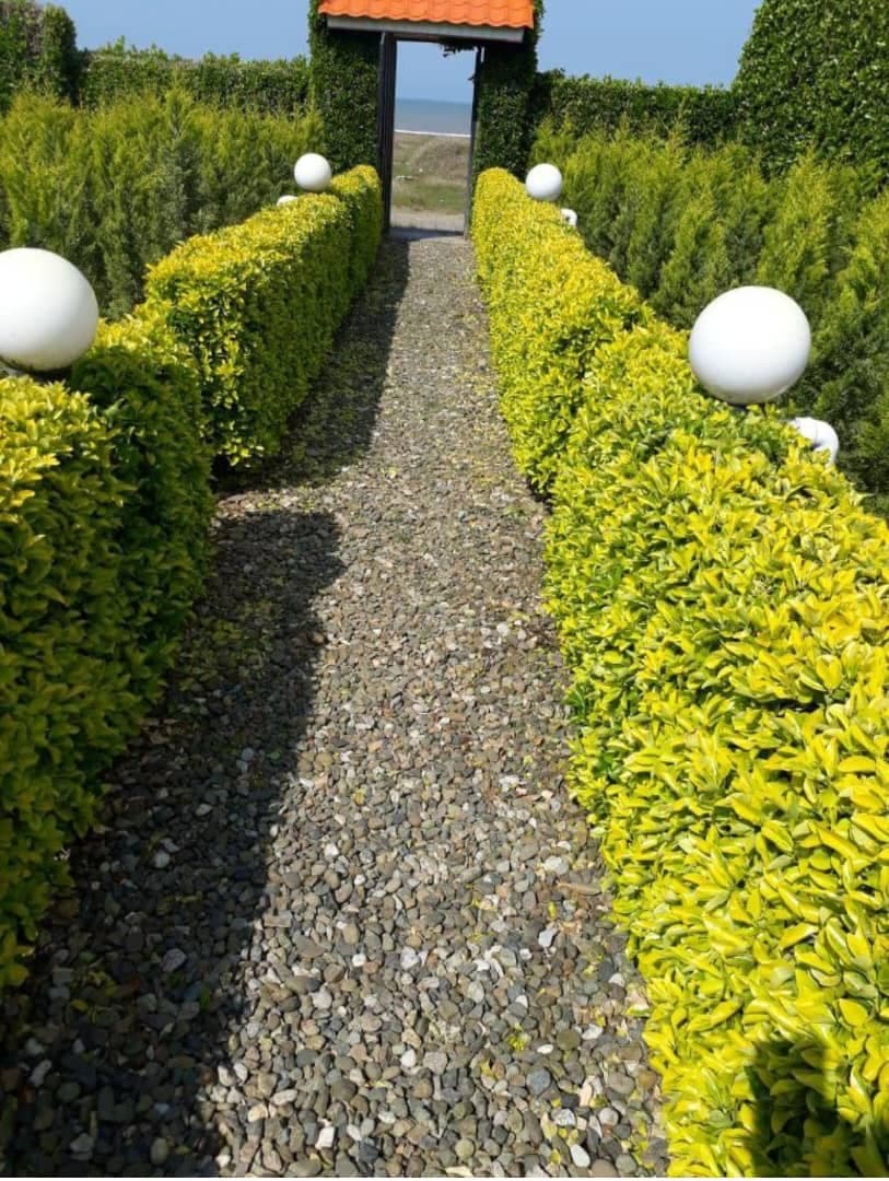 اجاره ویلای ساحلی احمدی در چابکسر