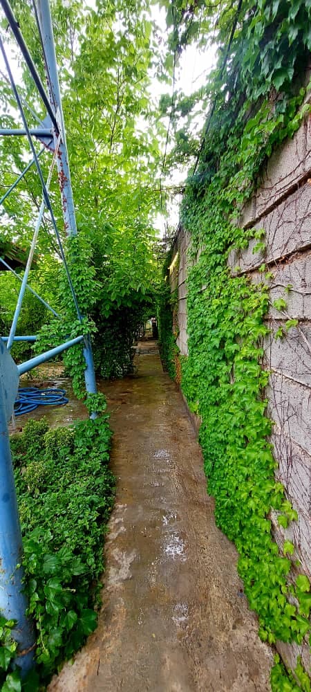 اجاره ویلا باغ رضایی در شیراز