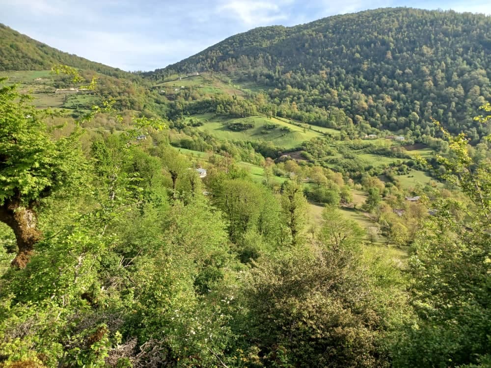 اجاره ویلای کوهستانی یاس یک در تالش