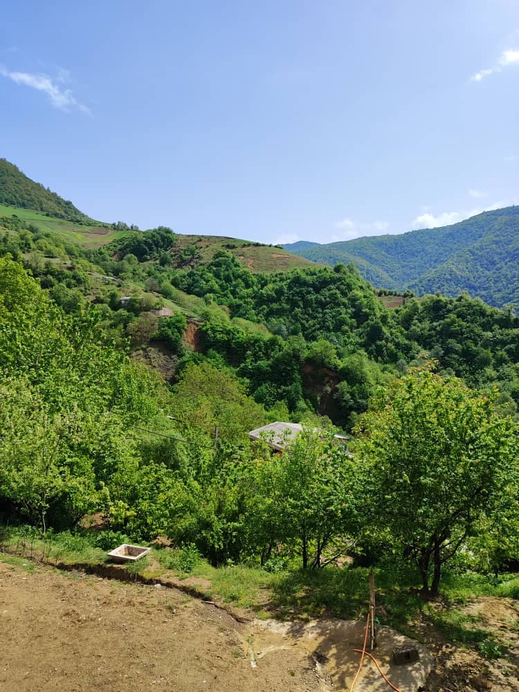 اجاره روزانه ویلا چکاوک برزگر علی آبادکتول
