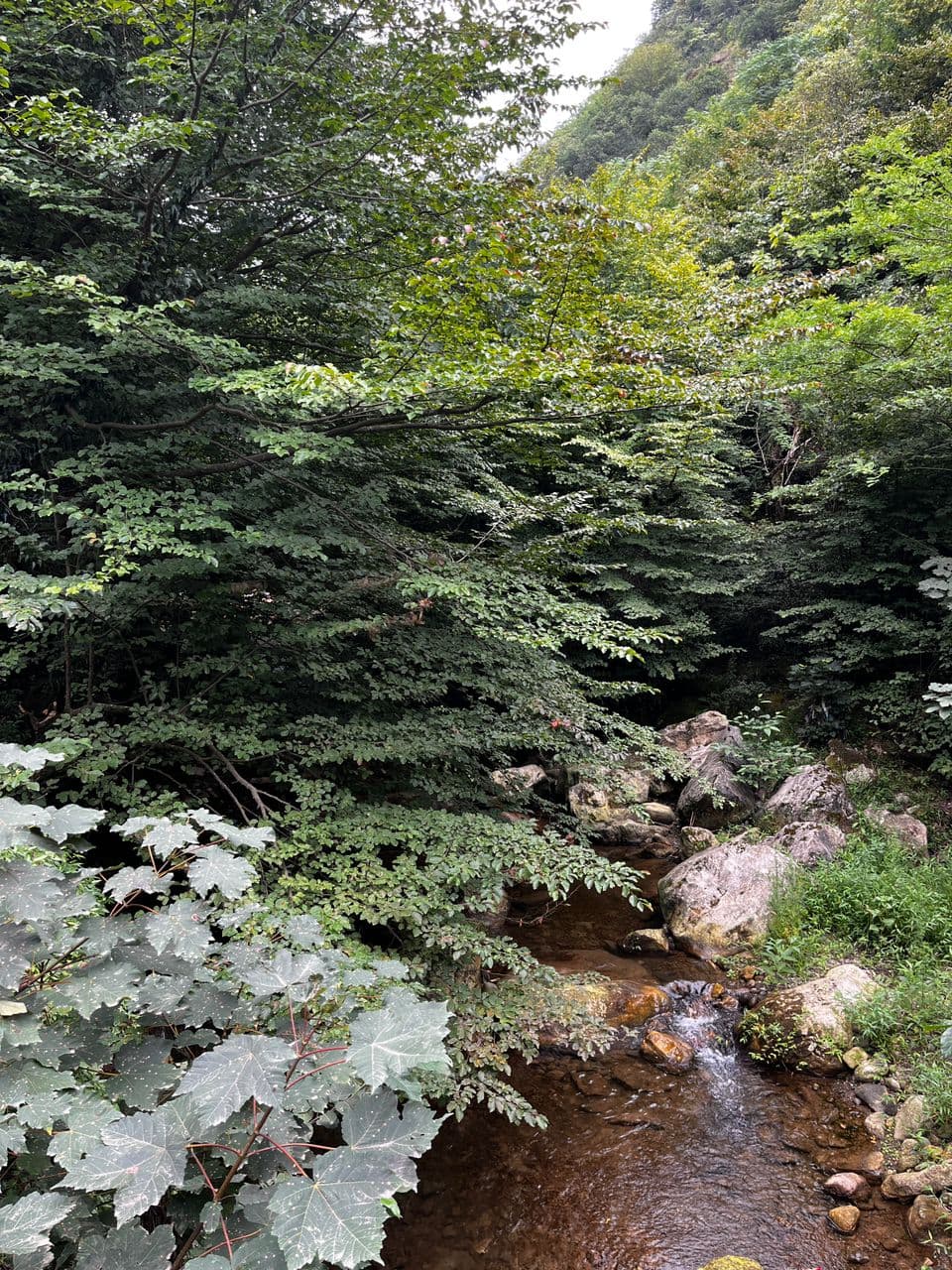 باغ رستوران سرای غریب نواز در چابکسر