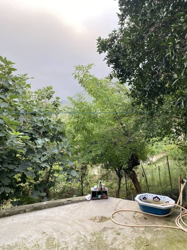 اجاره ویلای جنگلی فرخیان در چابکسر