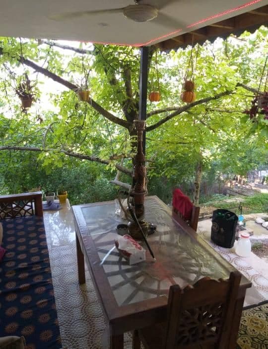 اجاره ویلا جنگلی میرزایی در ماسال