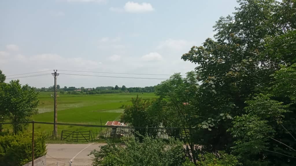 کلبه سوئیسی جنگلی آرسن در ماسال