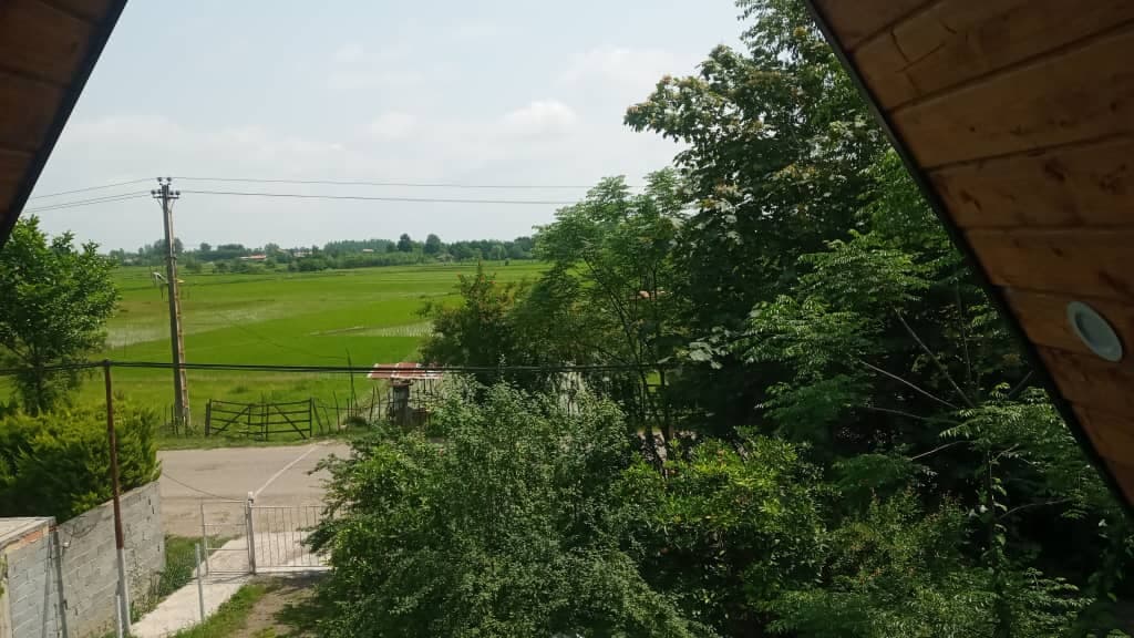 کلبه سوئیسی جنگلی آرسن در ماسال