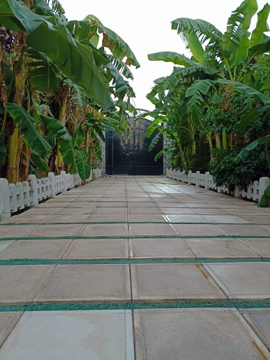 اجاره ویلا گل رز در دزفول