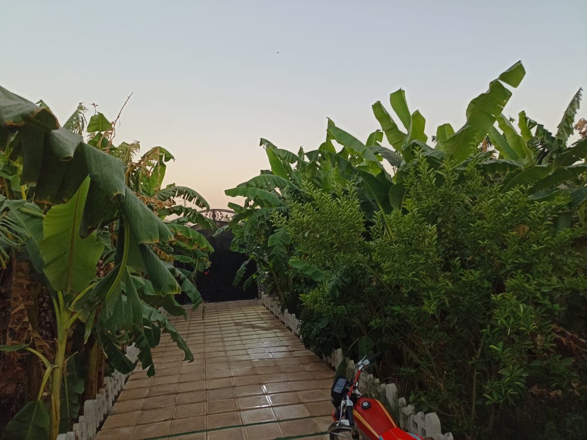 اجاره ویلا گل رز در دزفول