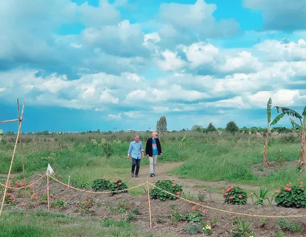 مجموعه تفریحی باگی لند در گرگان