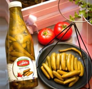 شرکت ماهگون در همدان