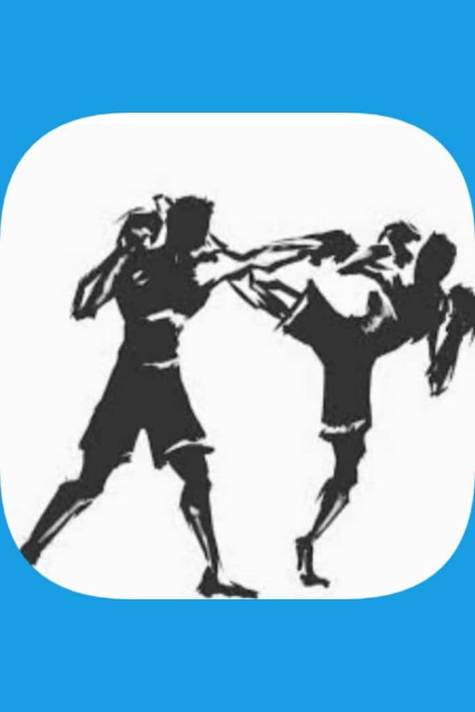 آموزش ورزش رزمی و بدنسازی رزمی mma استاد عطایی در کرج